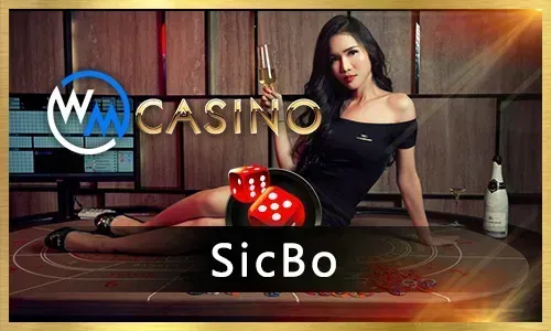 Spinplus Live Casino Games